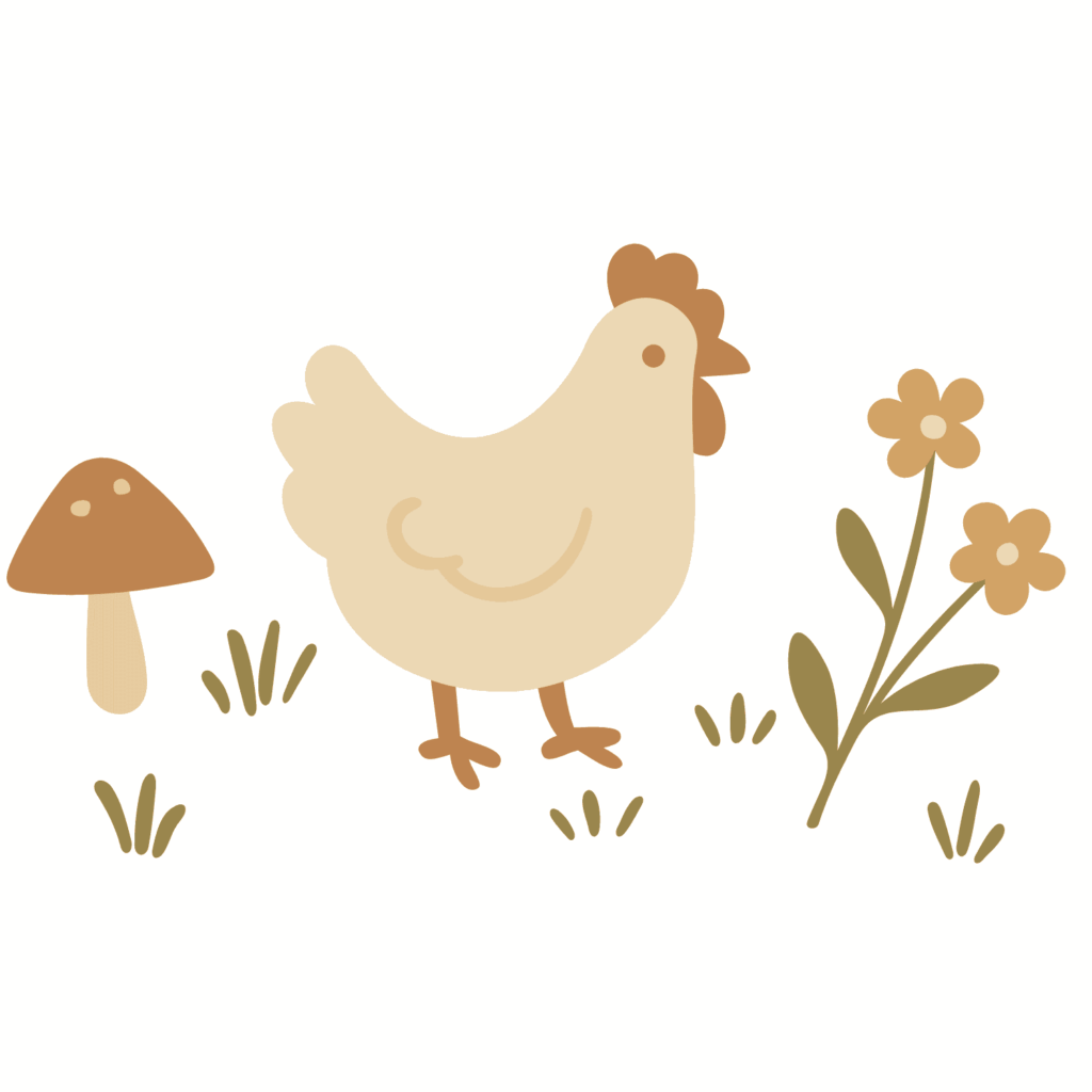 poporodní slepičí polévka